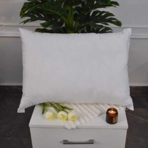 Plain Life Pillow