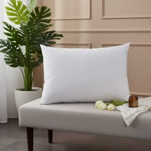 Plain Life Pillow
